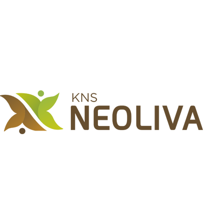 KNS anagha BMRDA Approved plots, Off Electronic City